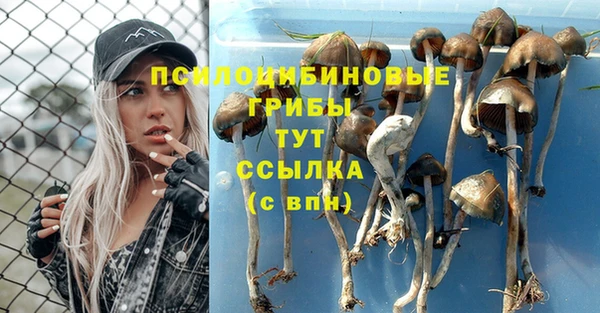кокс Алексин