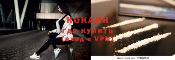 кокс Алексин