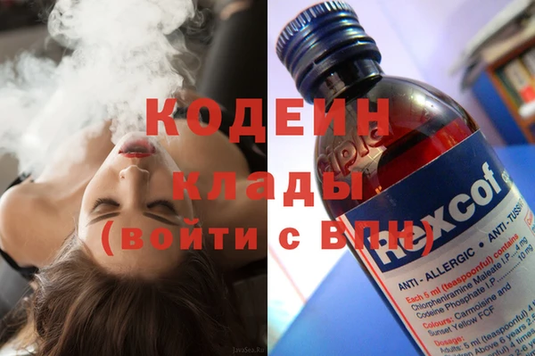 кокс Алексин