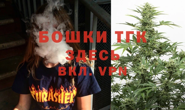 винт Алзамай