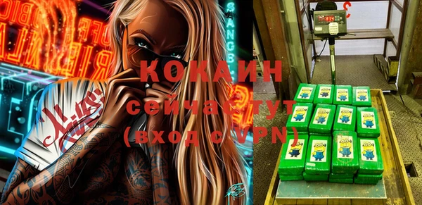кокс Алексин