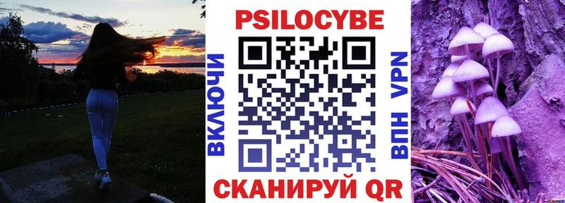 Галлюциногенные грибы Psilocybe  Агидель 